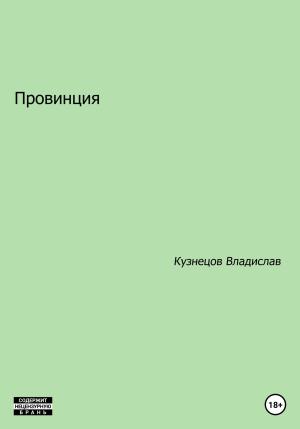 Обложка книги «Провинция» — Владислав Кузнецов