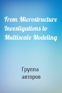 From Microstructure Investigations to Multiscale Modeling
