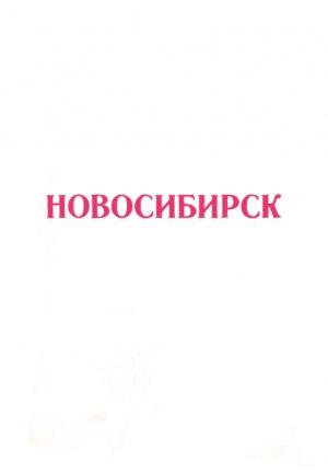 Обложка книги «Новосибирск 1917-1975 (Справочный материал)» — -