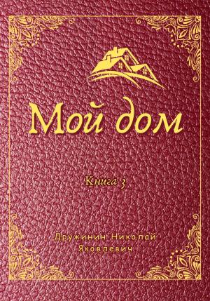 Обложка книги «Мой дом. Книга 3» — Николай Дружинин