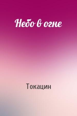 Обложка книги «Небо в огне» — Токацин