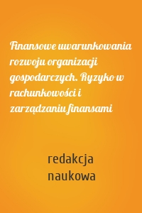 Finansowe uwarunkowania rozwoju organizacji gospodarczych. Ryzyko w rachunkowości i zarządzaniu finansami