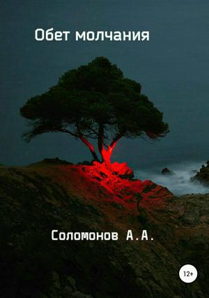 Обложка книги «Обет молчания» — Арсений Соломонов