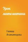 Гюлюш Агамамедова - Урок математики