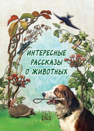 Обложка книги «Интересные рассказы о животных» — Н. Рудакова