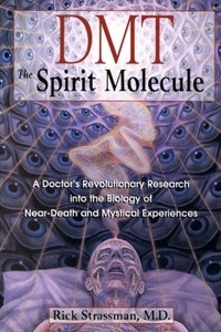 ДМТ — Молекула духа
