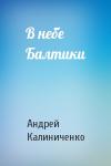 Андрей Калиниченко - В небе Балтики