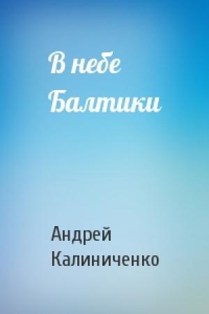 Обложка книги «В небе Балтики» — Андрей Калиниченко