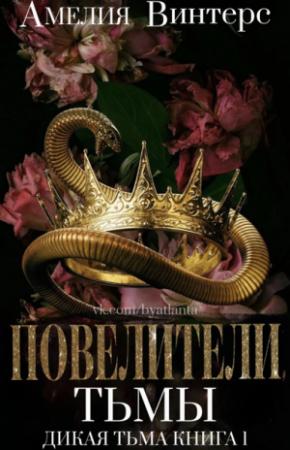 Обложка книги «Повелители тьмы» — Амелия Винтерс