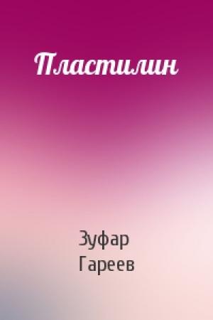 Обложка книги «Пластилин» — Зуфар Гареев
