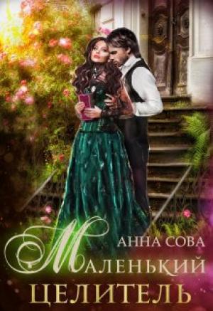 Обложка книги «Маленький целитель» — Анна Сова