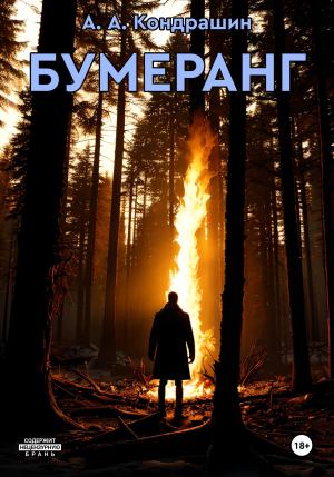 Обложка книги «Бумеранг» — Алексей Кондрашин