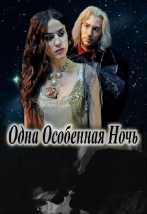 Обложка книги «Одна Особенная Ночь» — Василина Цеханович