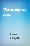 Роман Кошутин - Околесица на ночь
