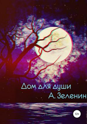 Обложка книги «Дом для души» — Артем Зеленин