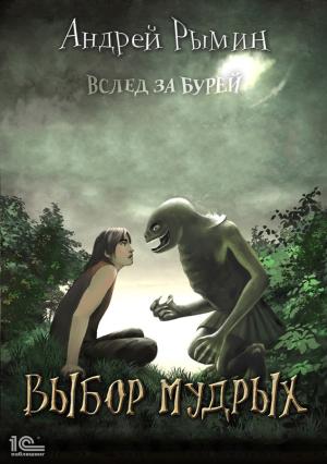 Обложка книги «Вслед за бурей. Выбор мудрых» — Андрей Рымин