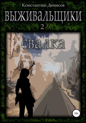 Обложка книги «Свалка» — Константин Денисов