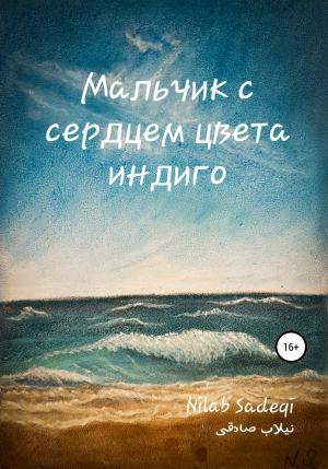Обложка книги «Мальчик с сердцем цвета индиго» — Nilab Sadeqi