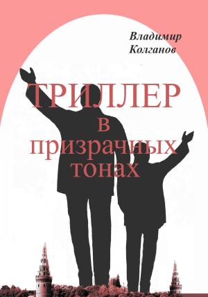 Обложка книги «Триллер в призрачных тонах» — Владимир Колганов