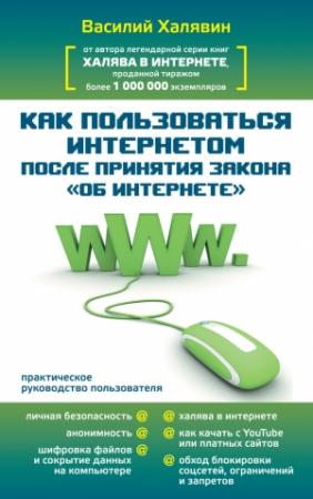 Обложка книги «Как пользоваться Интернетом после принятия закона «Об Интернете»» — Василий Халявин