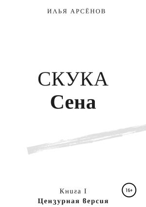 Обложка книги «Сен. Книга первая. Скука Сена» — Илья Арсёнов