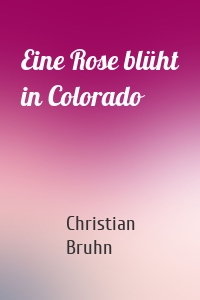 Eine Rose blüht in Colorado
