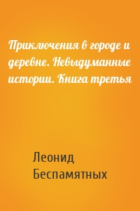 Приключения в городе и деревне. Невыдуманные истории. Книга третья