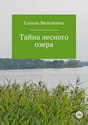 Обложка книги «Тайна лесного озера» — Галина Вильченко