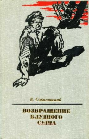 Обложка книги «Возвращение блудного сына» — Владимир Соколовский