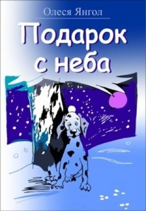 Обложка книги «Подарок с неба» — Олеся Янгол