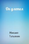 Михаил Татьянин - Он улетел