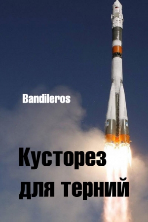 Обложка книги «Кусторез для терний» — Bandileros