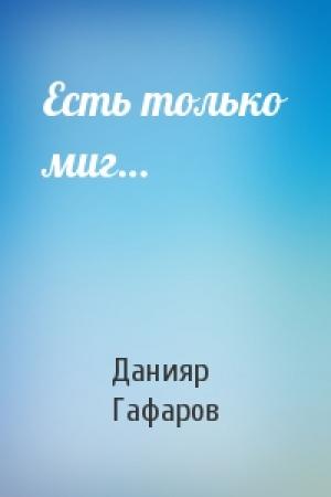 Обложка книги «Есть только миг…» — Данияр Гафаров