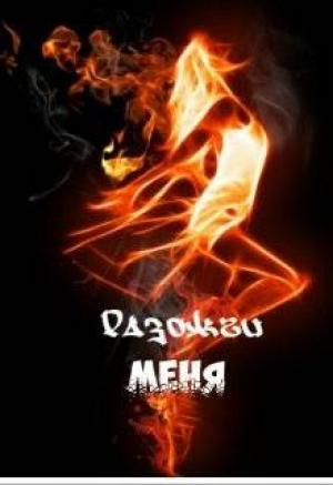 Обложка книги «Разожги меня» — Светла Литвин