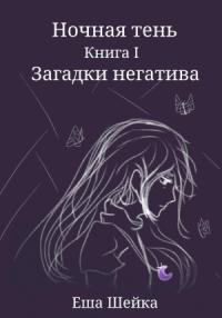 Еша Шейка - Ночная тень. Книга 1. Загадки негатива