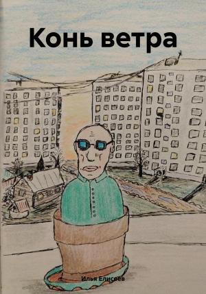 Обложка книги «Конь ветра» — Илья Елисеев