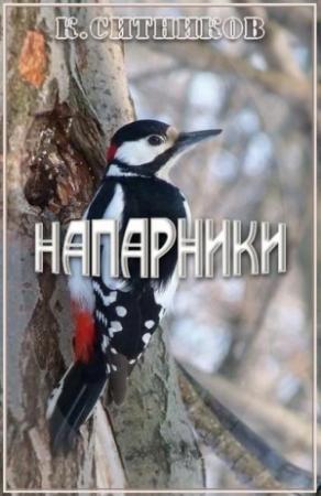Обложка книги «Напарники» — Кирилл Ситников
