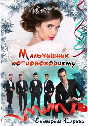 Обложка книги «Мальчишник по-новогоднему» — Екатерина Кариди