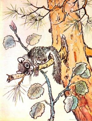 Обложка книги «Чуча. Песня Леса» — Галина Демыкина