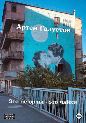 Обложка книги «Это не орлы – это чайки» — Артем Галустов