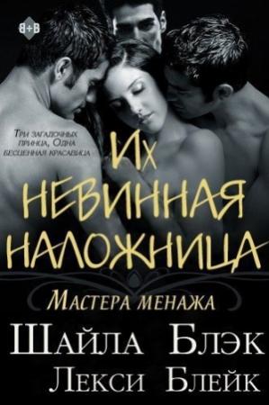 Обложка книги «Их невинная наложница» — Шелли Брэдли