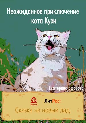 Обложка книги «Неожиданное приключение кота Кузи» — Екатерина Ефарова
