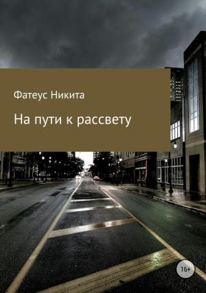 Обложка книги «На пути к рассвету» — Никита Фатеус