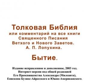 Обложка книги «Толковая Библия или комментарий на все книги Священного Писания Ветхого и Нового Заветов» — Александр Лопухин