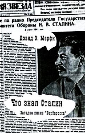 Обложка книги «Что знал Сталин» — Дэвид Мёрфи