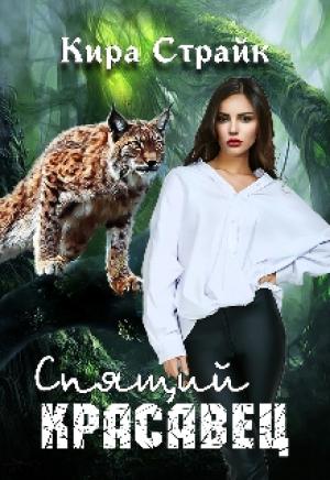 Обложка книги «Спящий красавец»