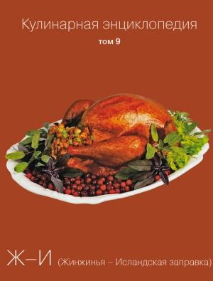 Обложка книги «Кулинарная энциклопедия. Том 9. Ж-И (Жинжинья – Исландская заправка)» — Наталья Шинкарёва, Надежда Бондаренко