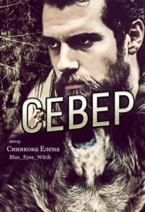 Обложка книги «Север» — Елена Синякова