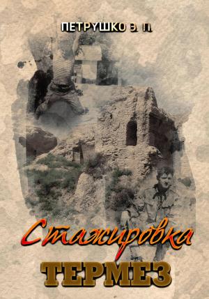 Обложка книги «Стажировка. Термез» — Эдуард Петрушко