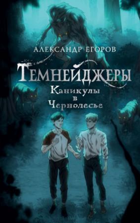 Обложка книги «Каникулы в Чернолесье» — Александр Егоров